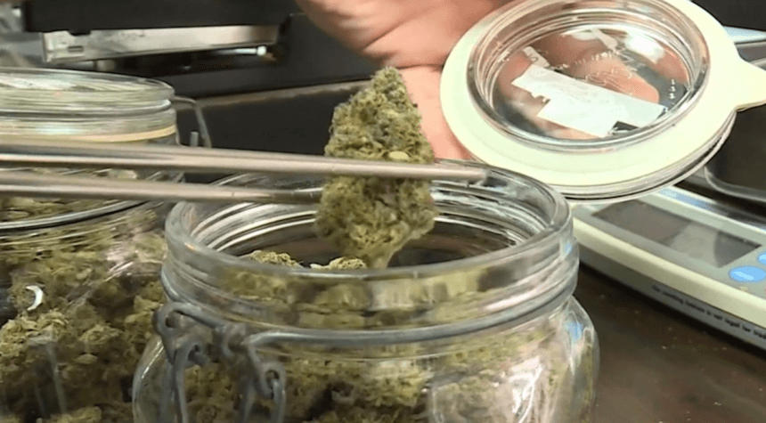 Arkansas Court Blocks Vote Count on Medical Marijuana Ballot Measure