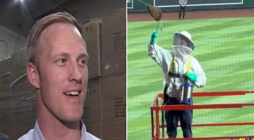 Beekeeper's Hilarious Showstopper Steals the Spotlight During 'Bee Delay' at Dodgers/Diamondbacks Game