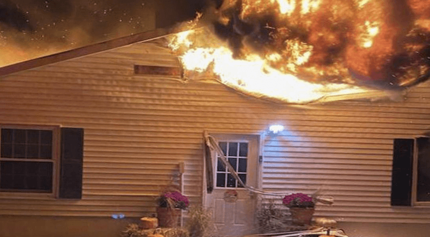 Tragedy Strikes: Fire at New York Rescue Shelter Claims Lives of Over 40 Dogs