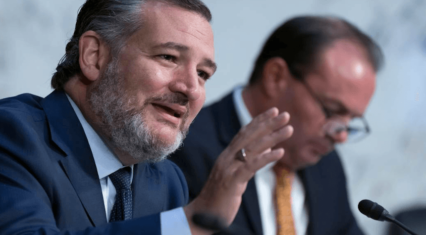 Cruz Flattens Durbin in Heated Exchange Over Biden's Nominee Adeel Mangi
